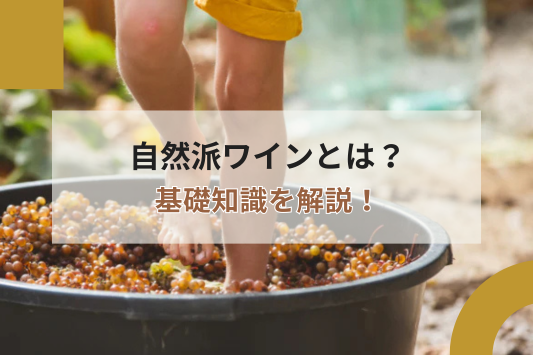 自然派ワインの基礎知識を解説!おいしく飲むポイントやおすすめワイン3選も紹介