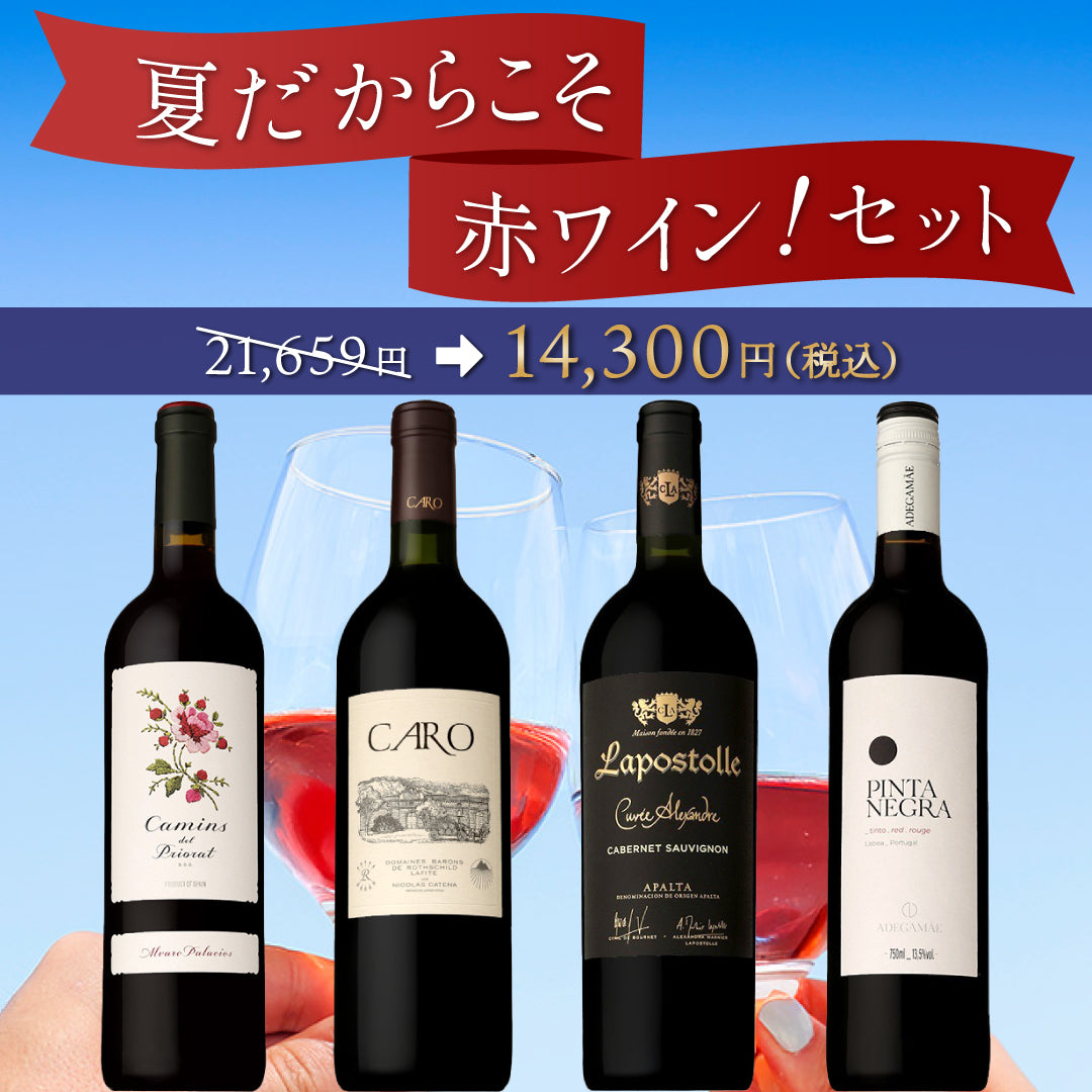 【6月~9月クール配送】夏だからこそ赤ワイン4本セット