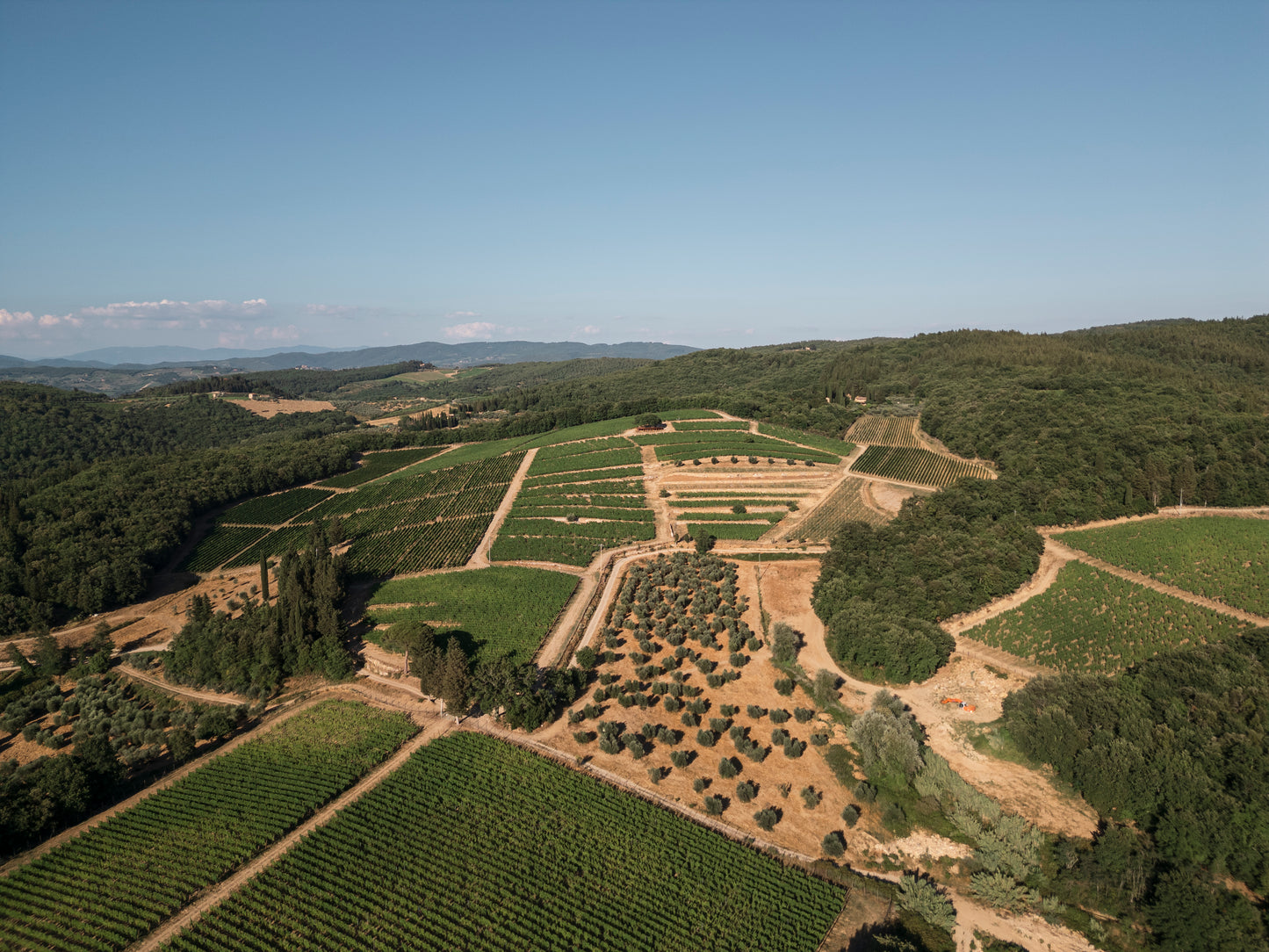 2月26日(木)イベント@THE CELLAR Hiroo|イゾレ・エ・オレーナ生産者来日イベント キャンティ・クラシコとサンジョヴェーゼ100%を紐解く