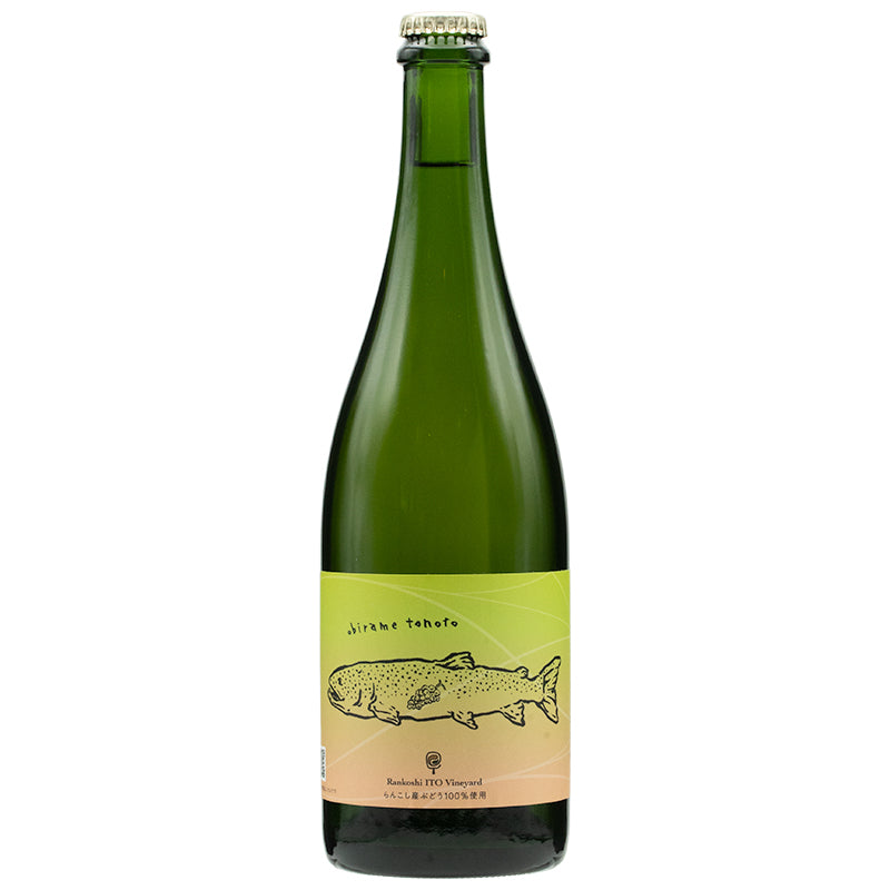 蘭越いとう農園 オビラメトノト 2024