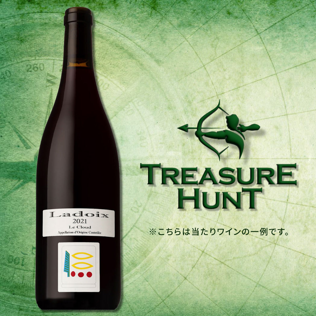 モンターニュサンテミリオン含む ヨーロッパワイン 12本 750ml