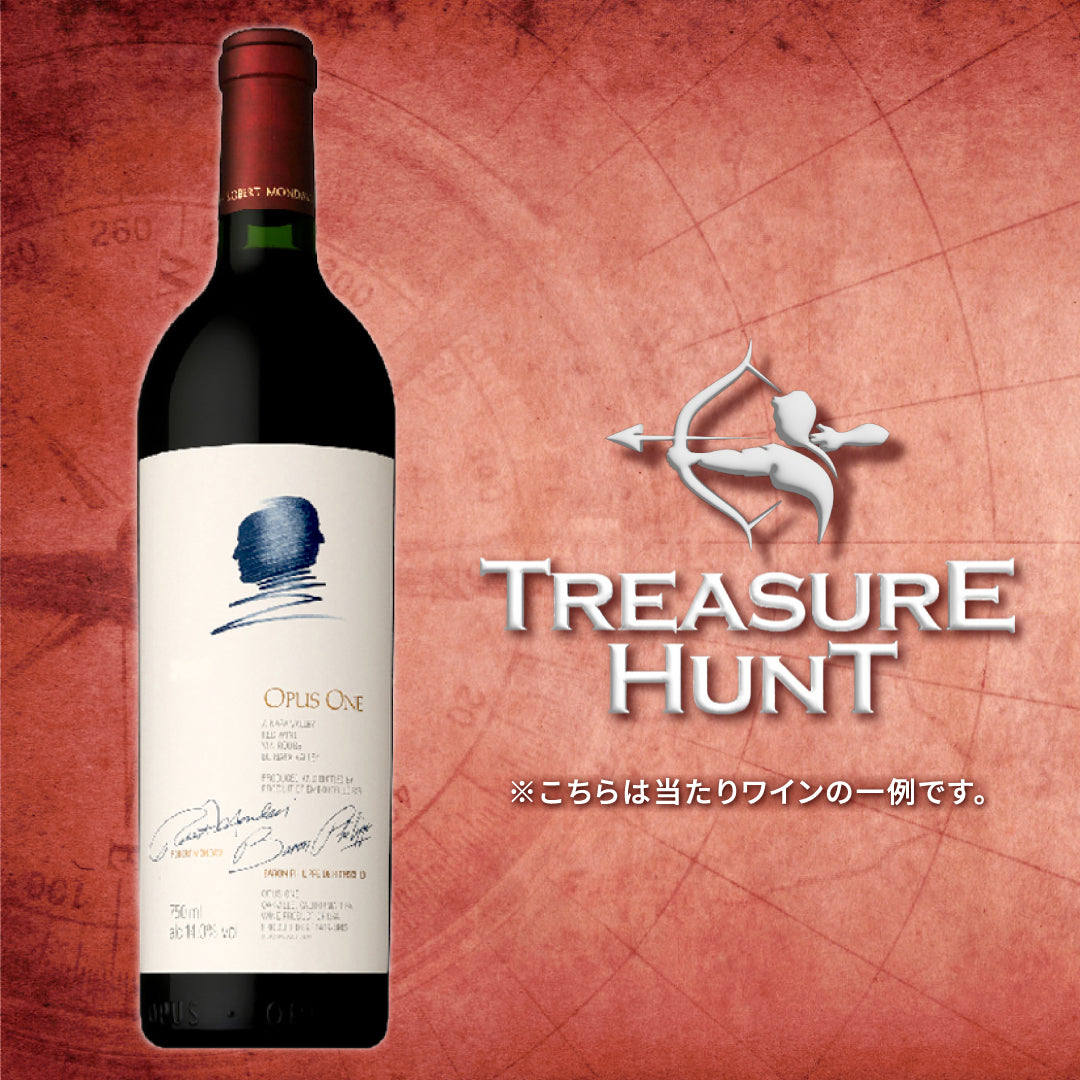 【ワインくじ】トレジャーハント:リッチで濃厚赤ワイン編