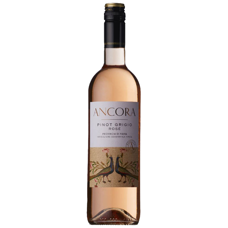 アンコーラ ピノ・グリージョ ロゼ 2023