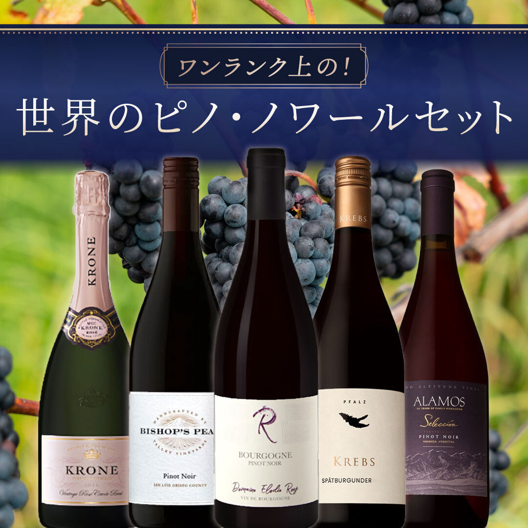 【送料無料】ワンランク上の!世界のピノ・ノワール5本セットvol.2