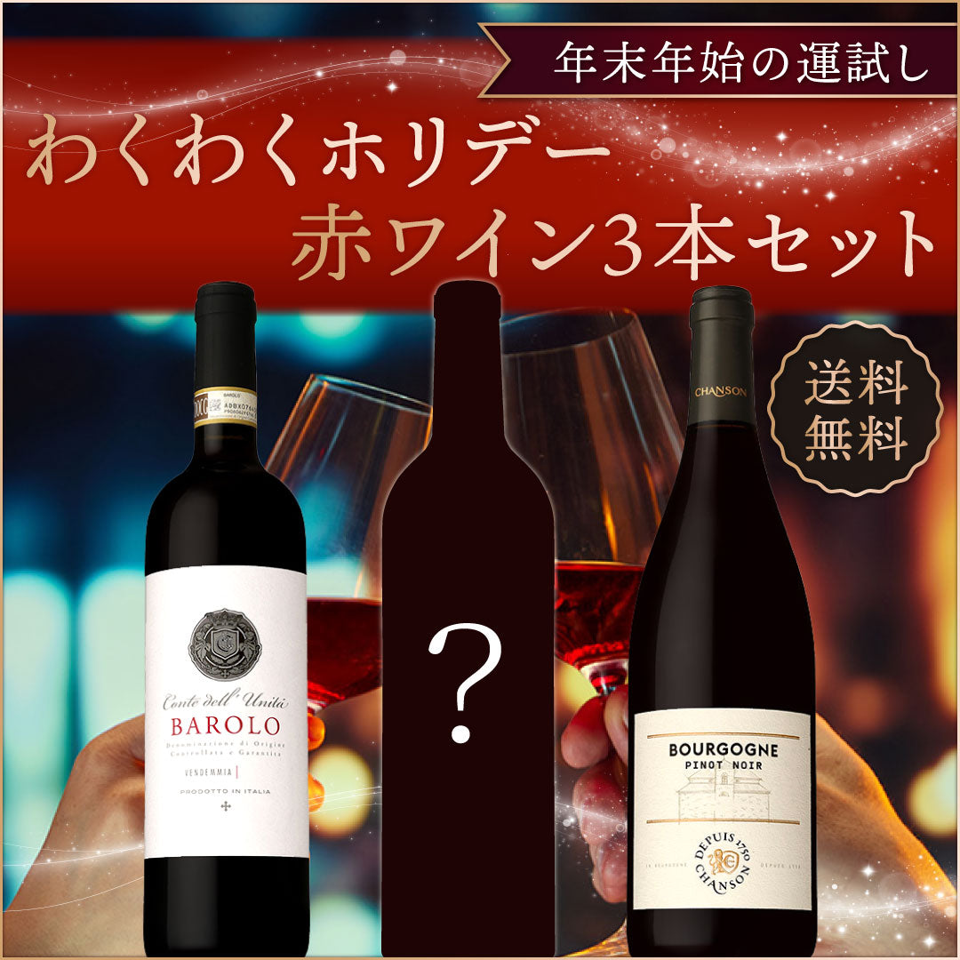 【お年玉1000ポイント付き】年末年始の運試し♪わくわくホリデー 赤3本セット