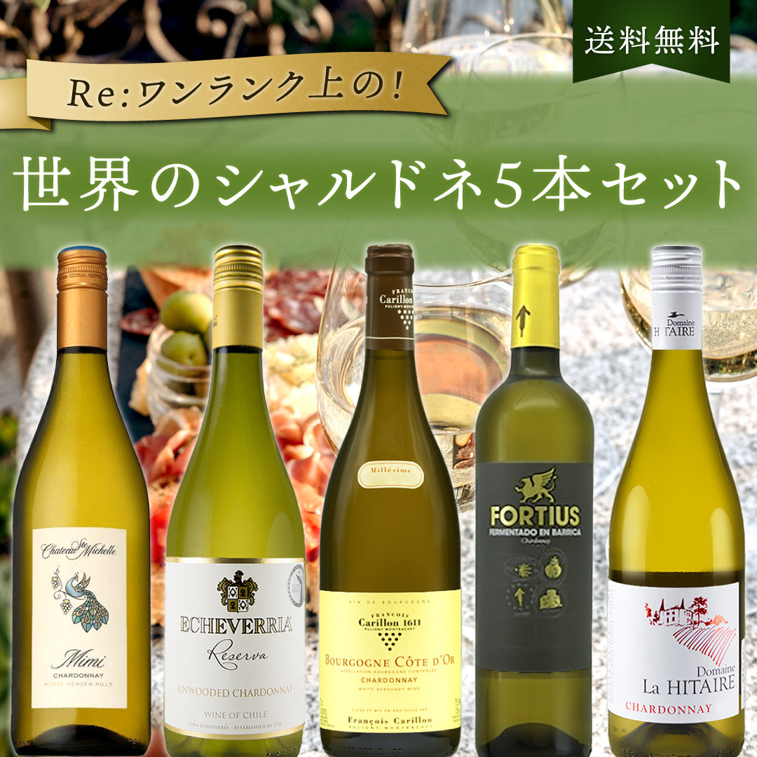 【6月~9月送料・クール便無料】Re:ワンランク上の!世界のシャルドネ5本セット vol.4
