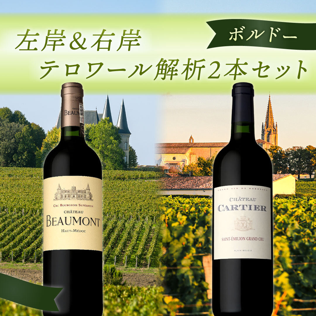 【ボルドー】左岸&右岸テロワール解析2本セット *
