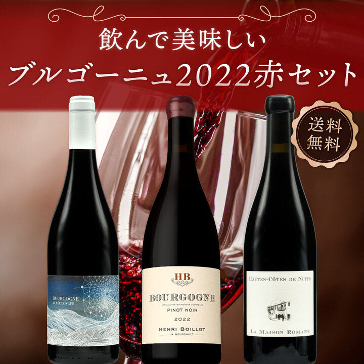 【送料無料】飲んで美味しいブルゴーニュ2022 赤 3本セット