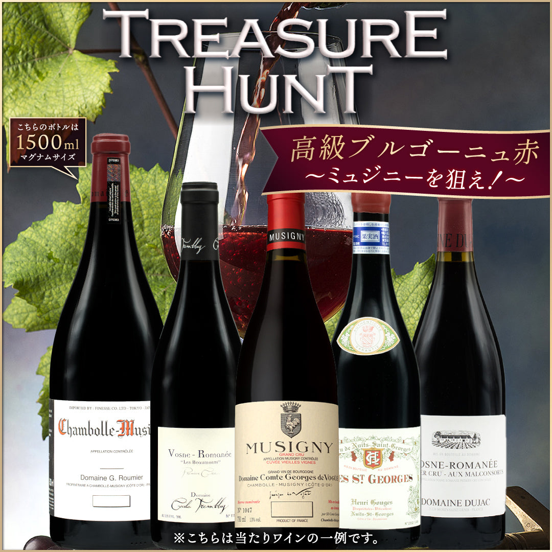 【ワインくじ】トレジャーハント:ブルゴーニュ高級赤ワイン編