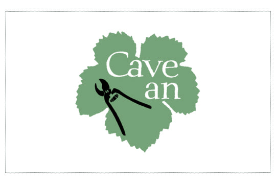 山梨・Cave an
