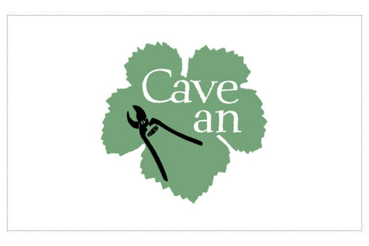 山梨・Cave an