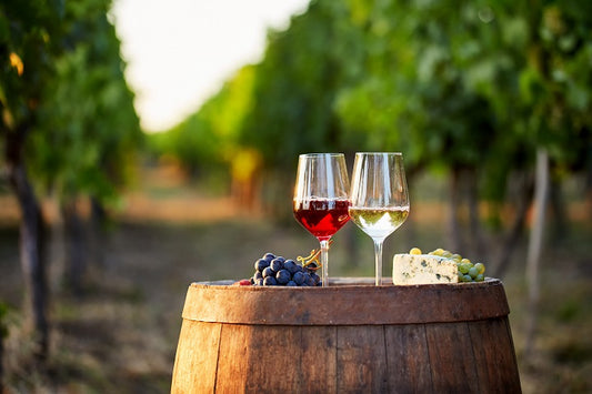 オーストラリアワインの特徴とは？生産地域やブドウの品種、おすすめのワインを紹介
