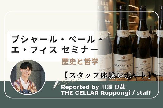 【スタッフ体験レポート】 ブシャール・ペール・エ・フィスセミナー