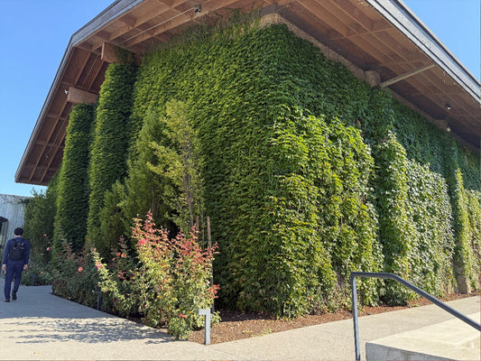 クロ・デュ・ヴァル 歴史ある伝統と革新が織りなす、サスティナブルなプレミアムワイン