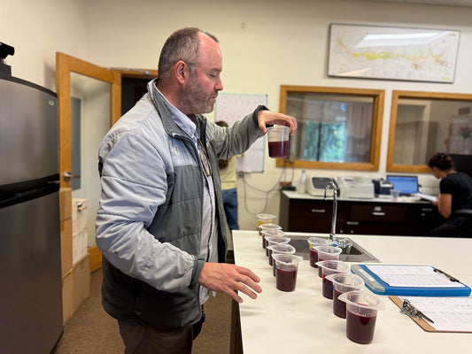 デュモル 精密さと緻密さ―デュモルが描くソノマのピノ・ノワール