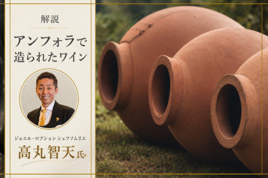 アンフォラで造られたワインの特徴