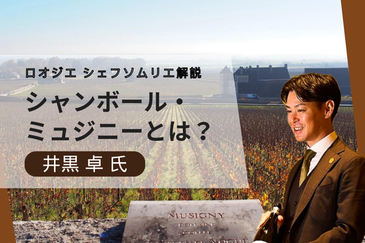 シャンボール・ミュジニーとは？基礎知識や人気の理由、おすすめワインについて解説