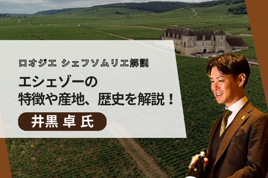 エシェゾーの特徴や産地、歴史を解説！合う料理やおすすめのワイン3選も紹介