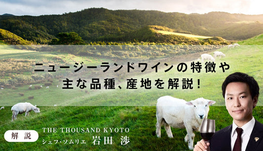 ニュージーランドワインの特徴や主な品種、産地を解説！