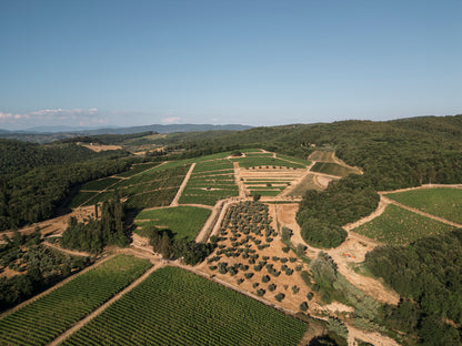 2月26日（木）イベント＠THE CELLAR Hiroo｜イゾレ・エ・オレーナ生産者来日イベント キャンティ・クラシコとサンジョヴェーゼ100％を紐解く