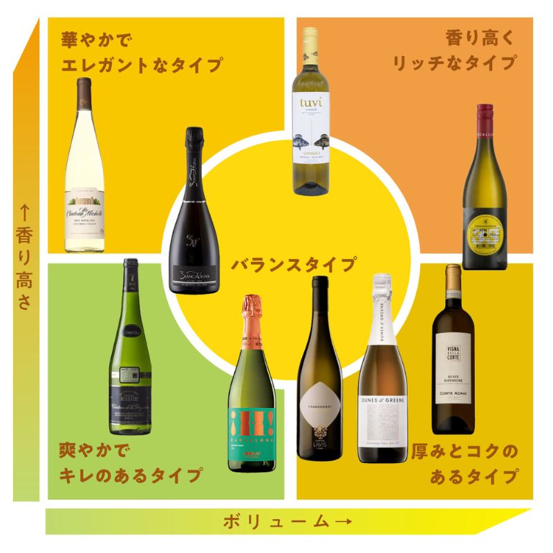【送料無料】スタッフが本気で選んだ、最強デイリーワイン！6本でよりどり12,100円