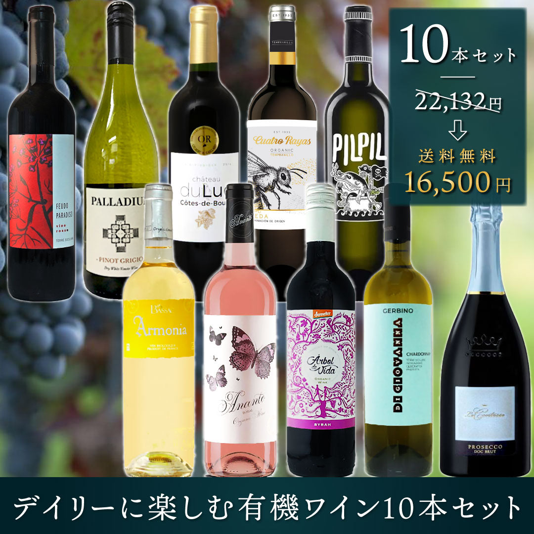 クール便無料】しゅー様 立てよ モレ・サン・ドニ