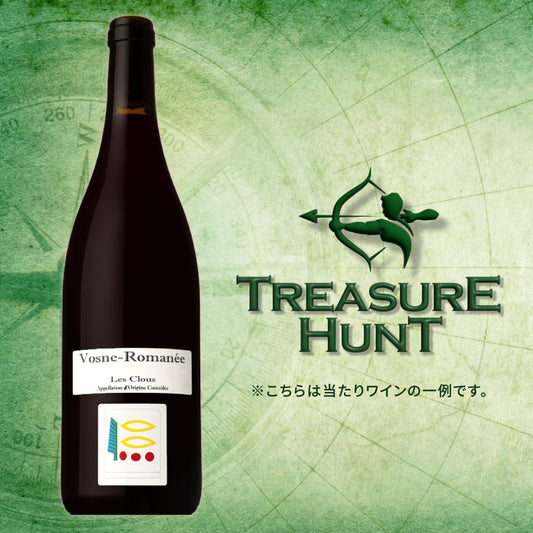 【クール付き・ワインくじ】トレジャーハント：自然派ワイン編