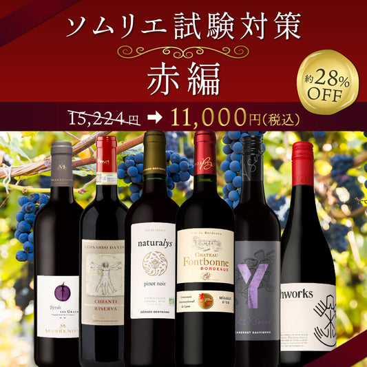 【6月～9月クール配送・送料無料・解答例付き】ソムリエ受験の方へ！気軽に開けれて学べる。「黒ぶどう基本の3品種+1」6本セットVol.2