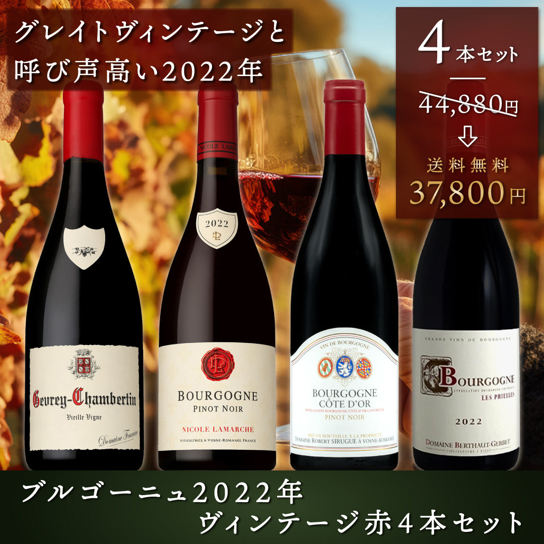 自然派白ワイン 4本 ＋ブルゴーニュ白ワイン3本（おすすめ