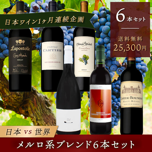 日本VS世界 メルロ系ブレンド6本セット