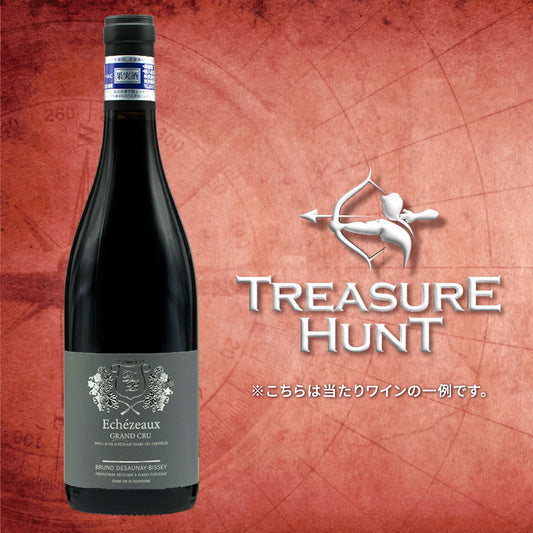 【ワインくじ】トレジャーハント：Bourgogne Pinot Noir編 ※クール便有料