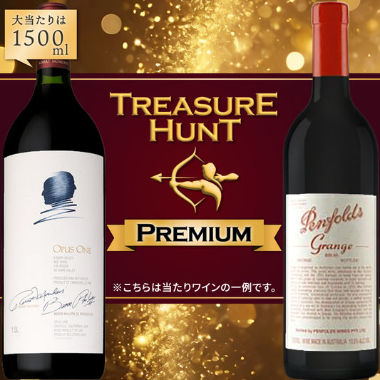 【ワインくじ】トレジャーハント：【プレミアム】濃厚赤ワイン編