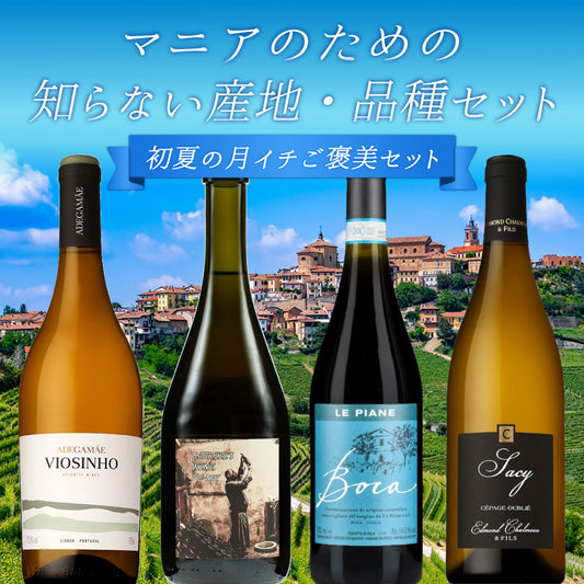 【送料無料】今月のご褒美はピエモンテ最北のネッビオーロ・ボーカ。マニアのための知られざる産地・品種を集めた、初夏の月イチご褒美4本セット