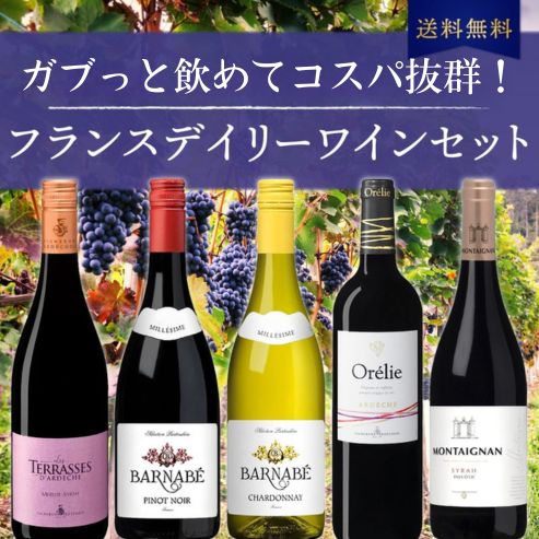 【送料無料】ガブっと飲めてコスパ◎ フランスデイリーワイン5本セット ※倉庫出荷のため、店舗商品と同時注文不可