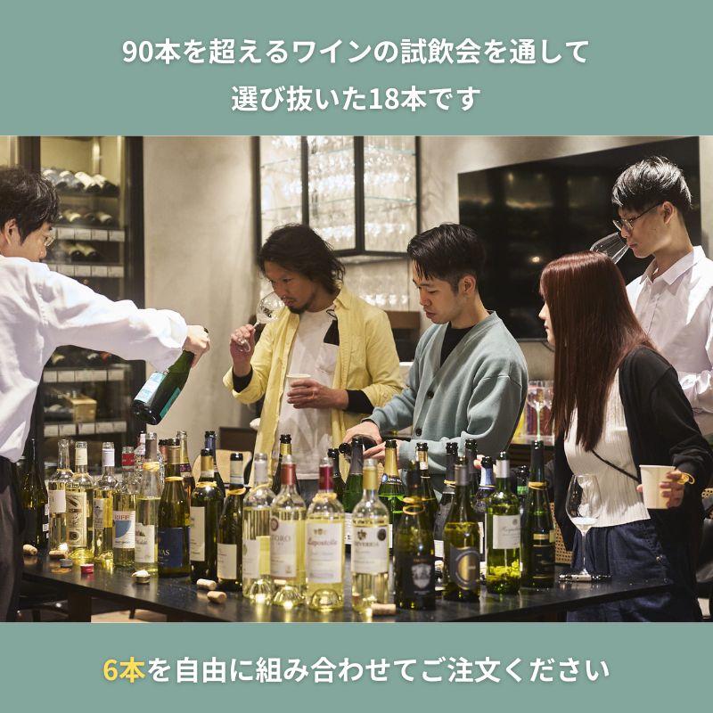 【送料無料】スタッフが本気で選んだ、最強デイリーワイン！6本でよりどり12,100円