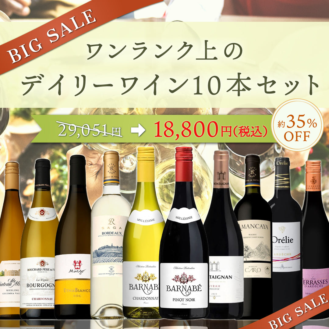 【6月～9月クール配送・送料無料】大特価！ワンランクの上のデイリーワイン10本セット ※倉庫出荷のため、店舗商品と同時注文不可