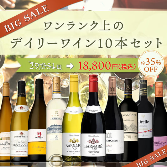 【6月～9月クール配送・送料無料】大特価！ワンランクの上のデイリーワイン10本セット ※倉庫出荷のため、店舗商品と同時注文不可