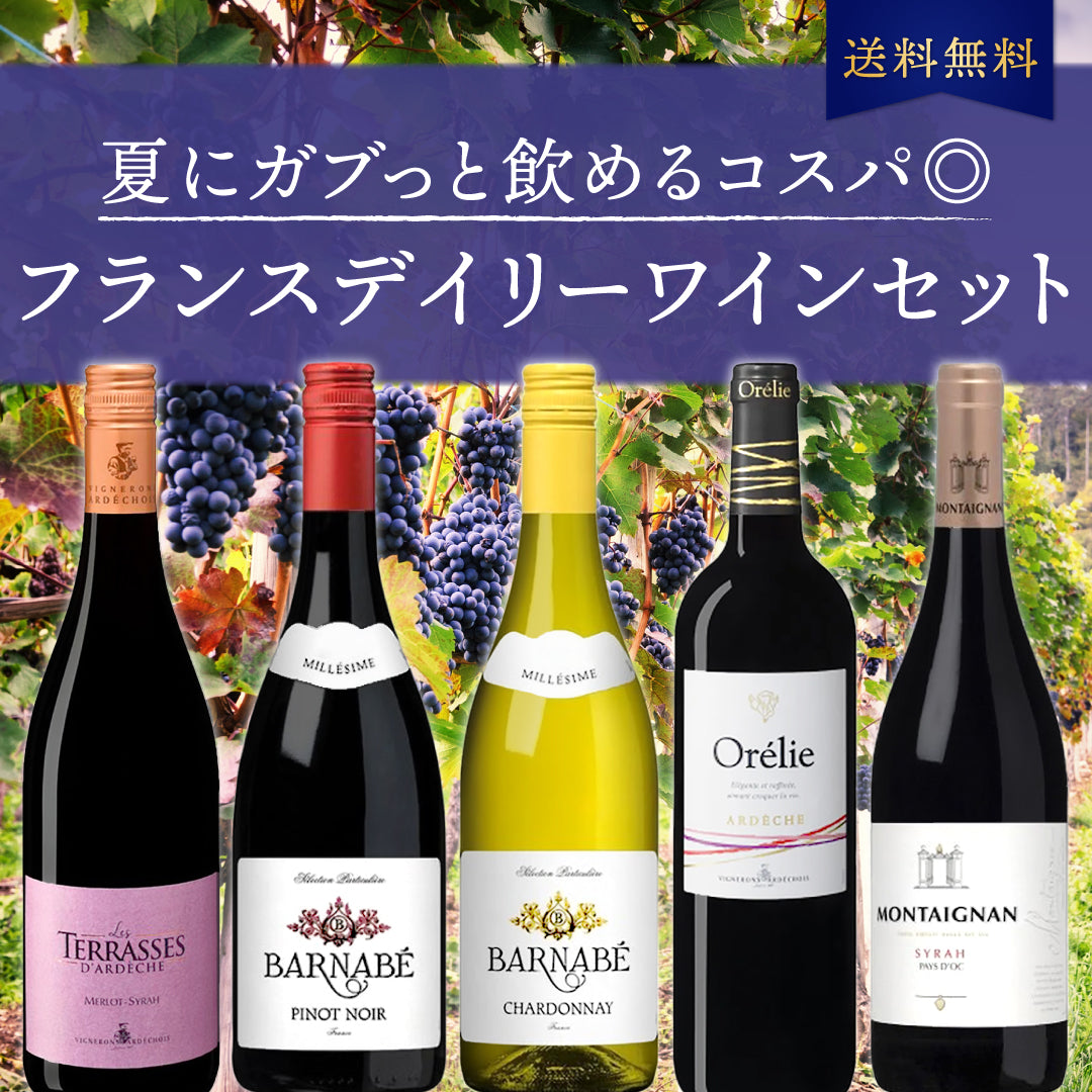 自然派ワイン4本セット（サンソニエール他） 自然派ワイン4本セット（サンソニエール他） 自然派ワイン4本