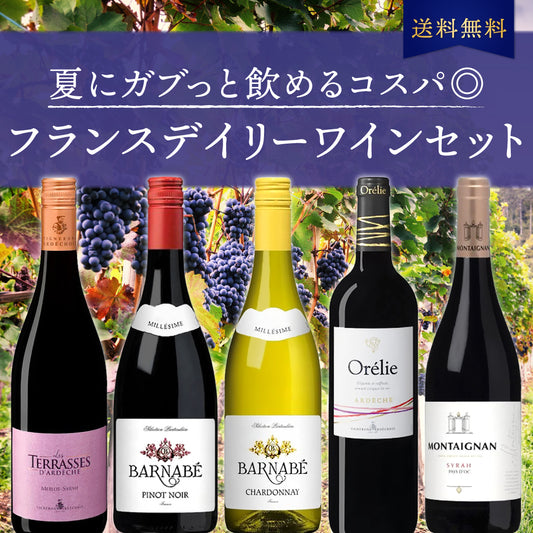 【6月～9月クール配送・送料無料】夏にガブっと飲めるコスパ◎ フランスデイリーワイン5本セット ※倉庫出荷のため、店舗商品と同時注文不可