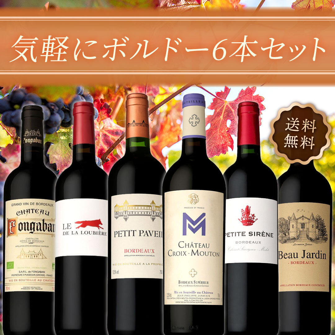 【送料無料】気軽にボルドー6本セット ※倉庫出荷のため、店舗商品と同時注文不可