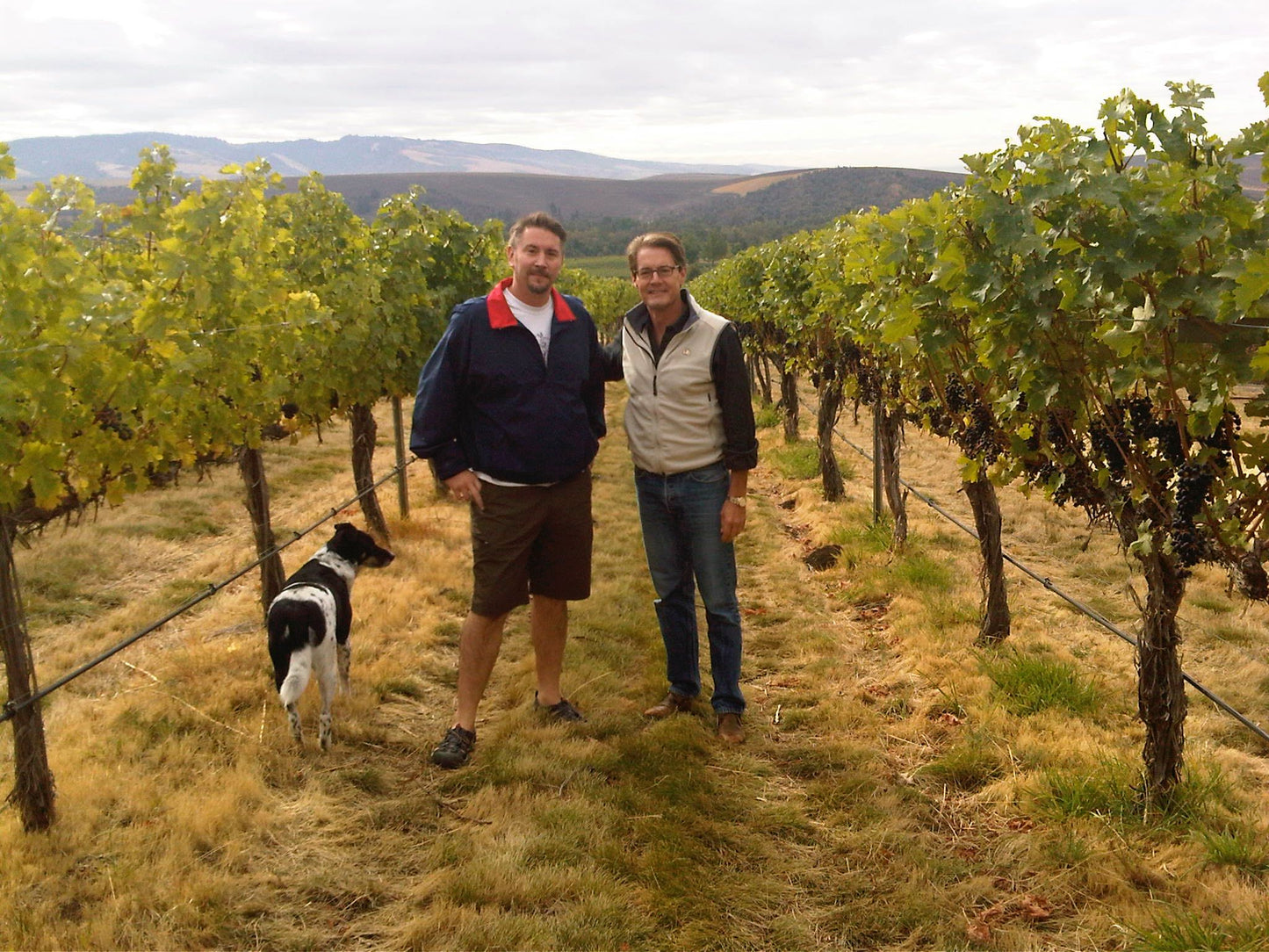 12月14日（日）イベント＠THE CELLAR Toranomon｜ ハリウッドスターに会える試飲即売会!!