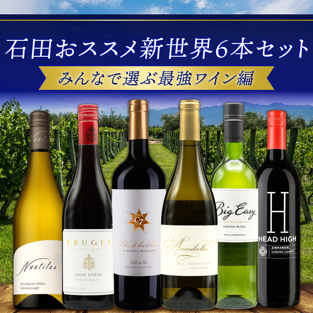 セレクトワイン6本セット　【エコメルカリ条件】 おすすめワインセット | THE CELLAR online store｜ワイン通販
