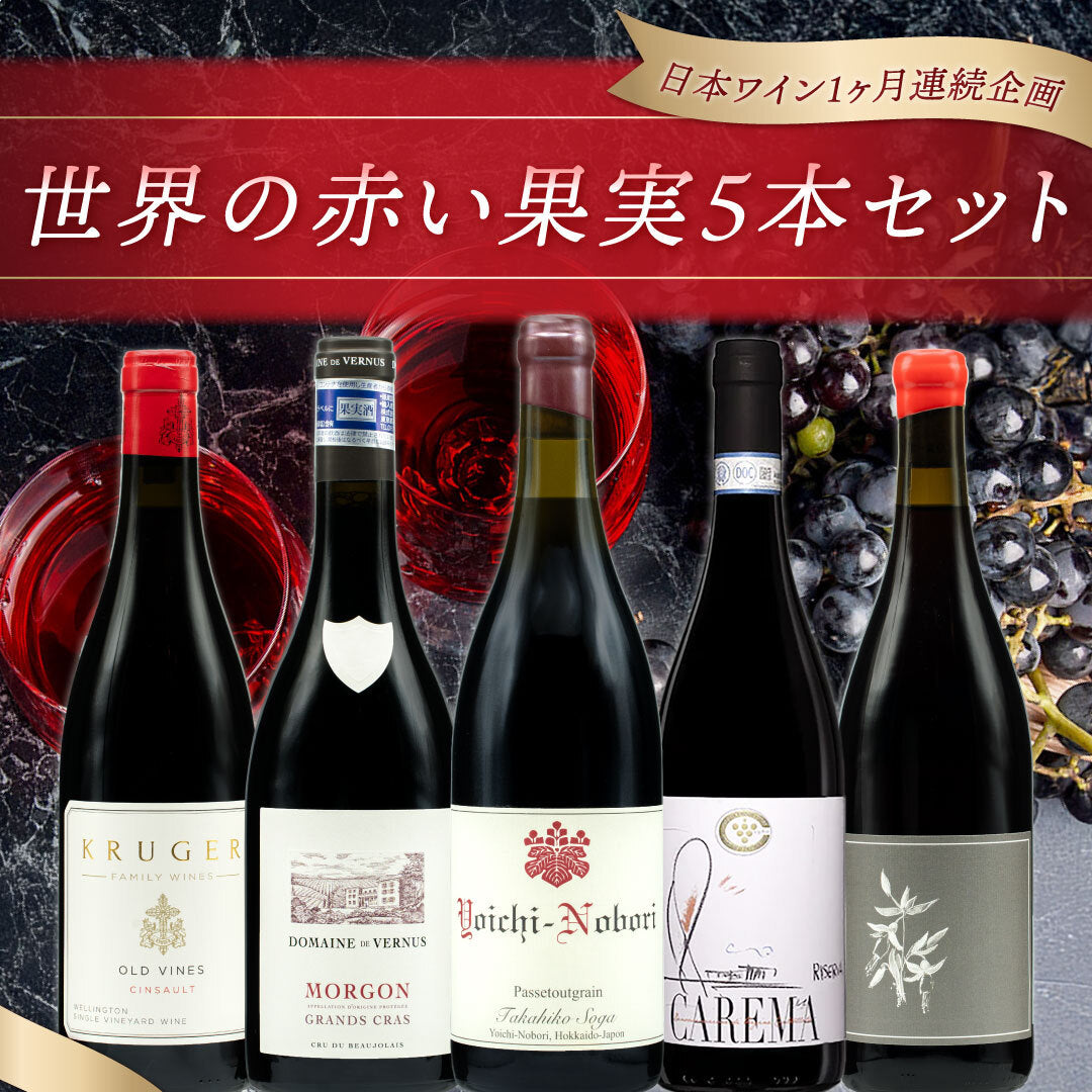 【飲んで応援企画｜deleteCプロジェクト】世界の赤い果実5本セット