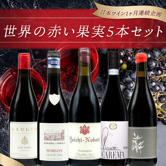 【飲んで応援企画｜deleteCプロジェクト】世界の赤い果実5本セット
