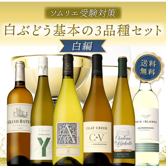 【送料無料・解答例付き】ソムリエ受験の方へ！気軽に開けれて学べる。「白ぶどう基本の3品種」6本セット※倉庫出荷のため、店舗商品と同時注文不可