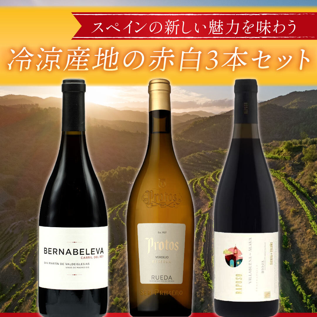 スパイシー】しっかりした味わいの赤ワイン2本セット| THE CELLAR
