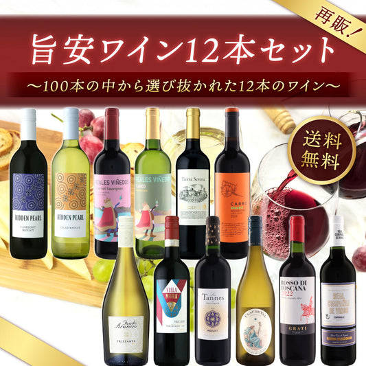 【送料無料】再再再再販！旨安ワイン12本セット ～100本の中から選び抜かれた12本のワイン～ ※倉庫出荷のため、店舗商品と同時注文不可