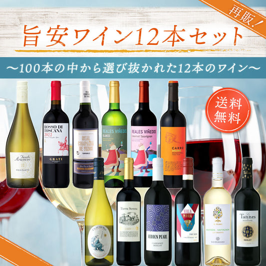 【送料無料】再再再販！旨安ワイン12本セット ～100本の中から選び抜かれた12本のワイン～※倉庫出荷のため、店舗商品と同時注文不可