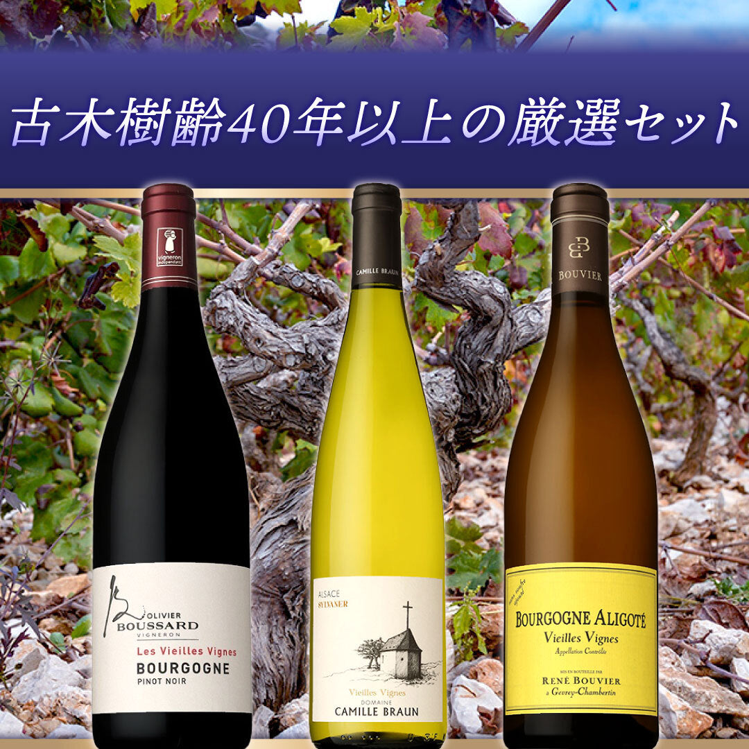 【VV】古木樹齢40年以上の厳選3本セット