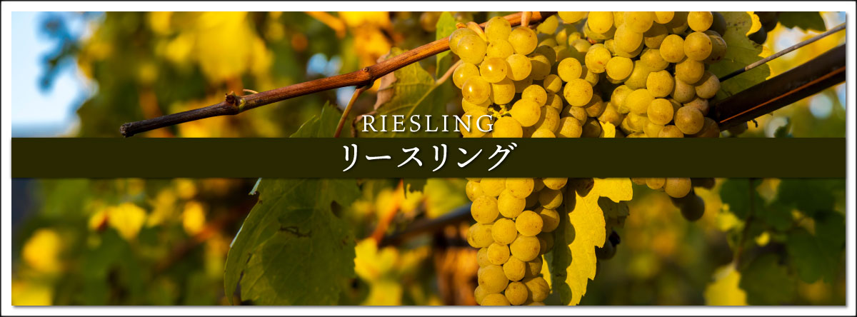 リースリングのワイン一覧 | THE CELLAR online store｜ワイン通販